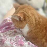 ヒメ日記 2025/06/09 23:30 投稿 すず 梅田アバンチュール