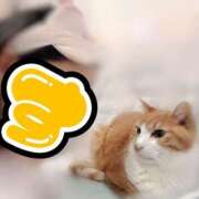 ヒメ日記 2025/06/13 23:23 投稿 すず 梅田アバンチュール