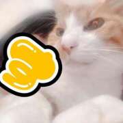 ヒメ日記 2025/06/26 12:04 投稿 すず 梅田アバンチュール