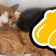 ヒメ日記 2025/07/17 23:43 投稿 すず 梅田アバンチュール