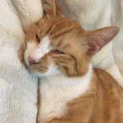 ヒメ日記 2025/07/19 09:52 投稿 すず 梅田アバンチュール