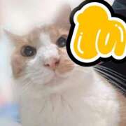 ヒメ日記 2025/07/21 01:07 投稿 すず 梅田アバンチュール