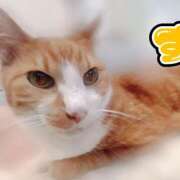 ヒメ日記 2025/07/27 20:23 投稿 すず 梅田アバンチュール