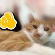 ヒメ日記 2025/07/31 00:12 投稿 すず 梅田アバンチュール