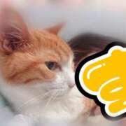 ヒメ日記 2025/08/05 23:41 投稿 すず 梅田アバンチュール