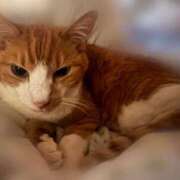 ヒメ日記 2025/08/07 23:45 投稿 すず 梅田アバンチュール