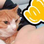 ヒメ日記 2025/08/17 23:52 投稿 すず 梅田アバンチュール