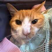 ヒメ日記 2025/08/18 18:46 投稿 すず 梅田アバンチュール