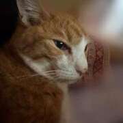 ヒメ日記 2025/08/25 13:28 投稿 すず 梅田アバンチュール