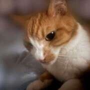 ヒメ日記 2025/08/29 00:48 投稿 すず 梅田アバンチュール