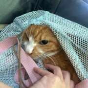 ヒメ日記 2025/08/30 10:40 投稿 すず 梅田アバンチュール