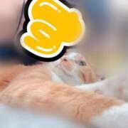 ヒメ日記 2025/09/01 00:32 投稿 すず 梅田アバンチュール