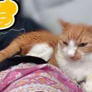 ヒメ日記 2025/09/03 23:01 投稿 すず 梅田アバンチュール