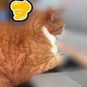 ヒメ日記 2025/09/05 00:42 投稿 すず 梅田アバンチュール