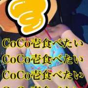 ヒメ日記 2025/09/10 23:35 投稿 すず 梅田アバンチュール