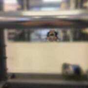 ヒメ日記 2025/09/18 18:37 投稿 すず 梅田アバンチュール