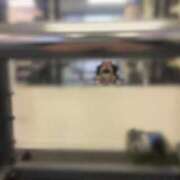 ヒメ日記 2025/09/18 18:42 投稿 すず 梅田アバンチュール