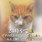 ヒメ日記 2025/09/19 00:22 投稿 すず 梅田アバンチュール