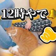 ヒメ日記 2025/09/20 12:03 投稿 すず 梅田アバンチュール