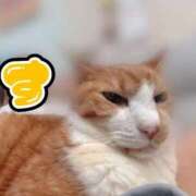 ヒメ日記 2025/10/10 22:37 投稿 すず 梅田アバンチュール