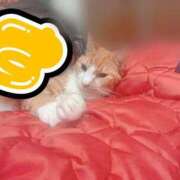 ヒメ日記 2025/10/18 02:45 投稿 すず 梅田アバンチュール