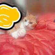 ヒメ日記 2025/10/18 02:52 投稿 すず 梅田アバンチュール