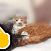 ヒメ日記 2025/10/31 01:32 投稿 すず 梅田アバンチュール