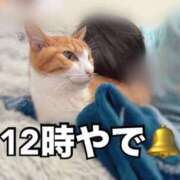 ヒメ日記 2025/11/01 12:03 投稿 すず 梅田アバンチュール