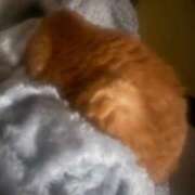 ヒメ日記 2025/11/03 00:34 投稿 すず 梅田アバンチュール