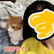 ヒメ日記 2025/11/07 12:22 投稿 すず 梅田アバンチュール