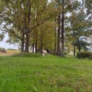 ヒメ日記 2025/11/09 17:32 投稿 すず 梅田アバンチュール