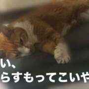 ヒメ日記 2025/11/14 09:45 投稿 すず 梅田アバンチュール