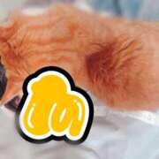 ヒメ日記 2025/11/15 23:32 投稿 すず 梅田アバンチュール