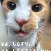 ヒメ日記 2025/11/17 14:22 投稿 すず 梅田アバンチュール