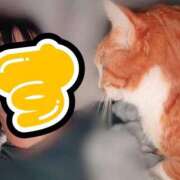 ヒメ日記 2025/11/19 19:32 投稿 すず 梅田アバンチュール