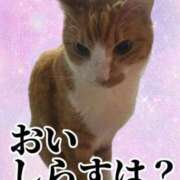 ヒメ日記 2025/11/22 01:42 投稿 すず 梅田アバンチュール