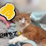 ヒメ日記 2025/11/23 12:22 投稿 すず 梅田アバンチュール