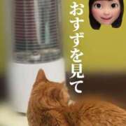 ヒメ日記 2025/11/24 10:23 投稿 すず 梅田アバンチュール