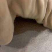 ヒメ日記 2025/11/28 09:30 投稿 すず 梅田アバンチュール