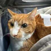 ヒメ日記 2025/11/28 10:45 投稿 すず 梅田アバンチュール