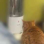 ヒメ日記 2025/12/02 10:02 投稿 すず 梅田アバンチュール