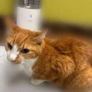 ヒメ日記 2025/12/05 09:04 投稿 すず 梅田アバンチュール