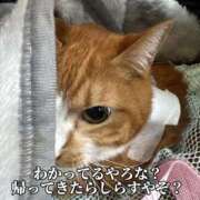 ヒメ日記 2025/12/12 13:12 投稿 すず 梅田アバンチュール