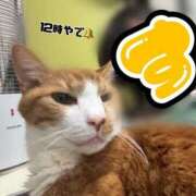 ヒメ日記 2025/12/17 12:22 投稿 すず 梅田アバンチュール