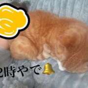 ヒメ日記 2025/12/20 12:22 投稿 すず 梅田アバンチュール