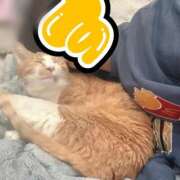 ヒメ日記 2025/12/23 00:22 投稿 すず 梅田アバンチュール