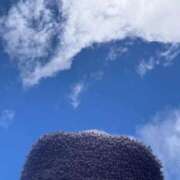 ヒメ日記 2025/12/27 12:42 投稿 すず 梅田アバンチュール