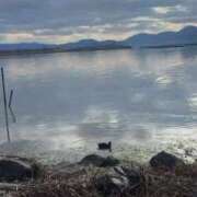 ヒメ日記 2025/12/27 14:22 投稿 すず 梅田アバンチュール