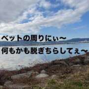 ヒメ日記 2025/12/28 10:52 投稿 すず 梅田アバンチュール