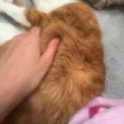 ヒメ日記 2025/12/29 23:22 投稿 すず 梅田アバンチュール